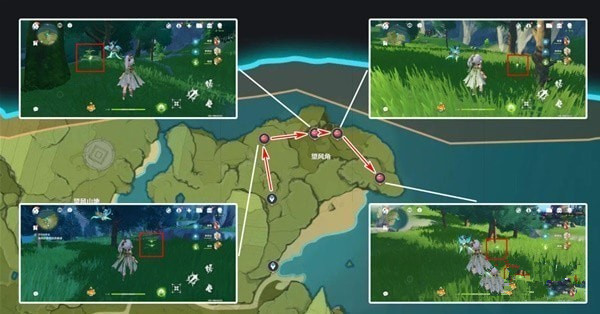 原神3.8版本落落莓采集路线推荐 原神3.8版本落落莓采集攻略