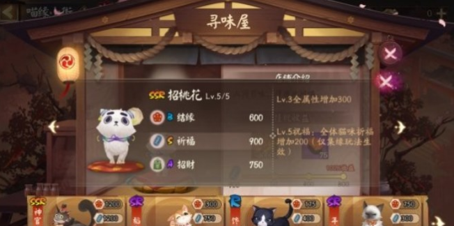 阴阳师喵缘小街怎么选择猫咪-阴阳师喵缘小街选择猫咪建议