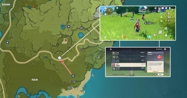 原神3.8版本落落莓采集路线推荐 原神3.8版本落落莓采集攻略