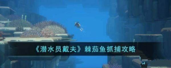 潜水员戴夫棘茄鱼怎么捉 潜水员戴夫棘茄鱼抓捕方法