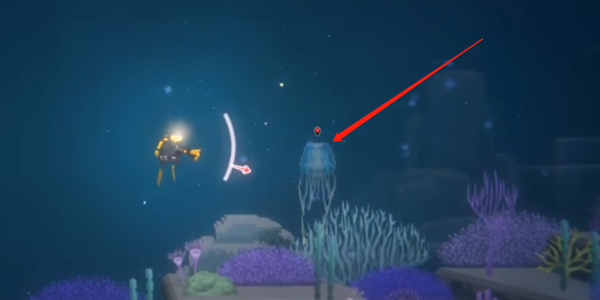 潜水员戴夫箱水母怎么抓-潜水员戴夫箱水母抓捕攻略