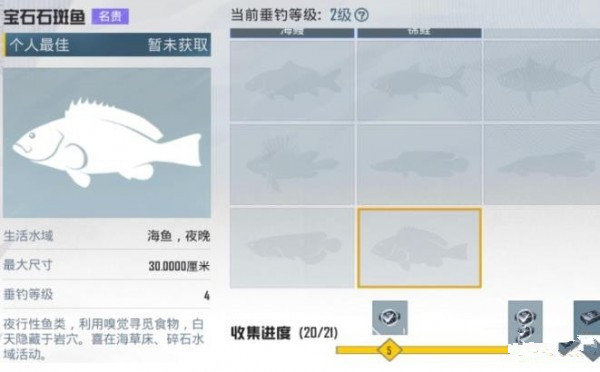 和平精英宝石石斑鱼哪里可以钓 和平精英宝石石斑鱼怎么钓