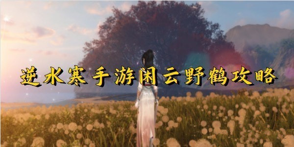 逆水寒手游闲云野鹤怎么玩 逆水寒手游闲云野鹤攻略大全