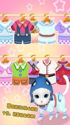 最可爱的猫咪小游戏推荐，这些猫咪游戏萌哭你！