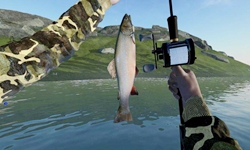 钓鱼游戏排行榜出炉，这几款钓鱼小游戏人气最高