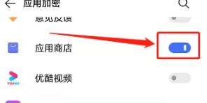 vivo应用商店怎么设置密码 vivo应用商店怎么设置密码