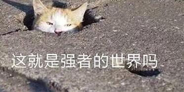 腾讯光子《天天象棋》与深圳市文化广电旅游体育局正式签约并将开启深度合作