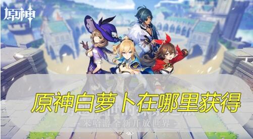 原神白萝卜在哪里获得？原神白萝卜最新获取位置大全