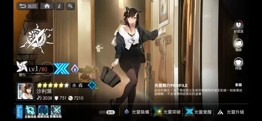 白夜极光水队队伍怎么搭配-水队阵容搭配推荐