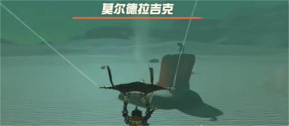 塞尔达传说王国之泪下落不明的老板怎么做-下落不明的老板任务攻略