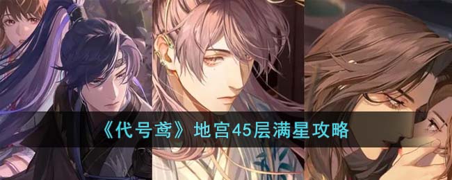 代号鸢地宫45层怎么满星过-代号鸢地宫45层满星攻略