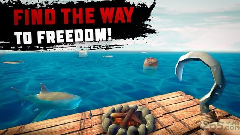 木筏海上生存破解版下载