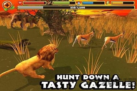 狮子家庭模拟器手机版