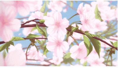 花瓣小尾巴的樱花符号怎么打？花瓣小尾巴的樱花符号可复制