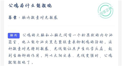 蚂蚁庄园公鸡为什么能报晓?-蚂蚁庄园10月9日答题小游戏答案