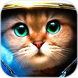 武装猫咪内购破解版