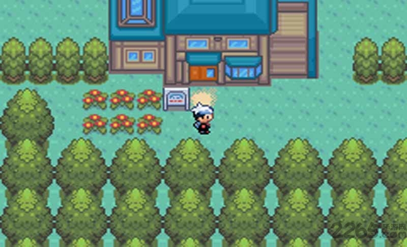 口袋妖怪蓝冰mx游戏