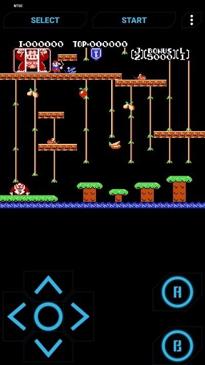 大金刚jr游戏下载