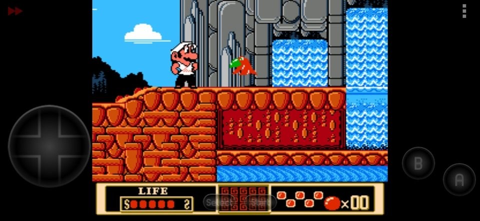 功夫玛丽游戏下载