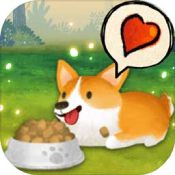 Q宠之森:动物花园