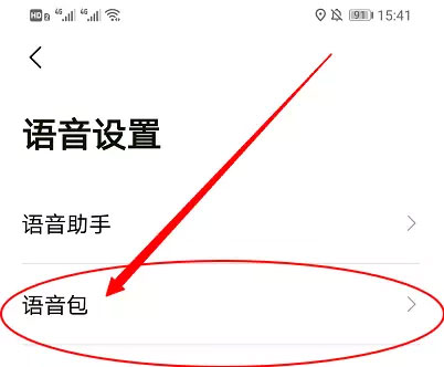 高德地图小团团怎么设置详细模式 高德地图小团团设置教程