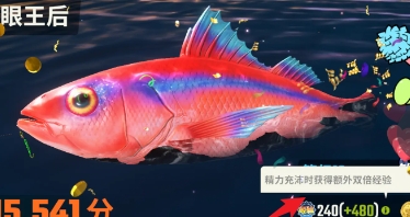 欢乐钓鱼大师双倍经验怎么获得-欢乐钓鱼大师双倍经验获得方法