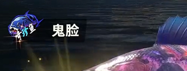 欢乐钓鱼大师稀有鱼有哪些-欢乐钓鱼大师稀有鱼介绍