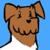 袜子收集者Scamper