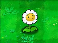 植物大战僵尸原版