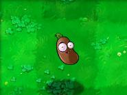 植物大战僵尸原版