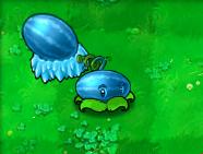 植物大战僵尸原版