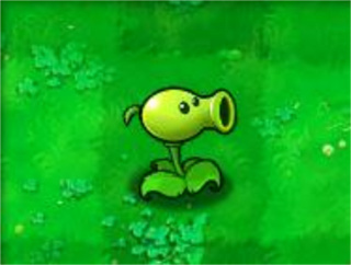 植物大战僵尸经典版