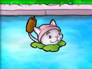 植物大战僵尸原版