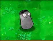 植物大战僵尸原版