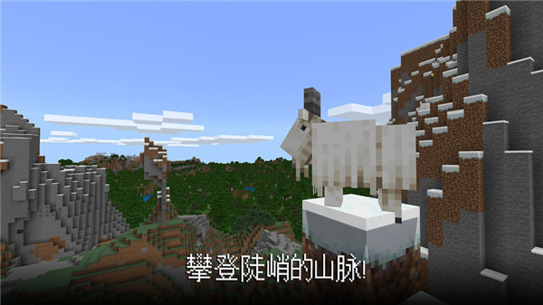 我的世界国际版(Minecraft)