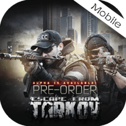 逃离塔科夫双人模式