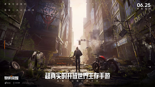 黎明觉醒官方正版