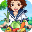 新小森生活官方正版