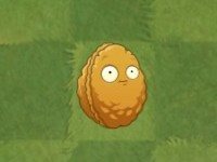 植物大战僵尸亚马逊版本