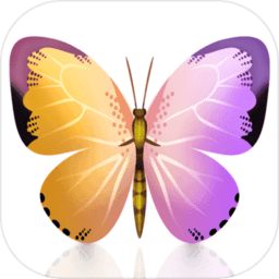 全民来找茬官方版[暂未上线]