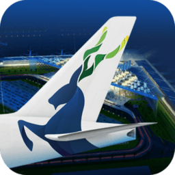 飞机真实的飞行模拟器中文版