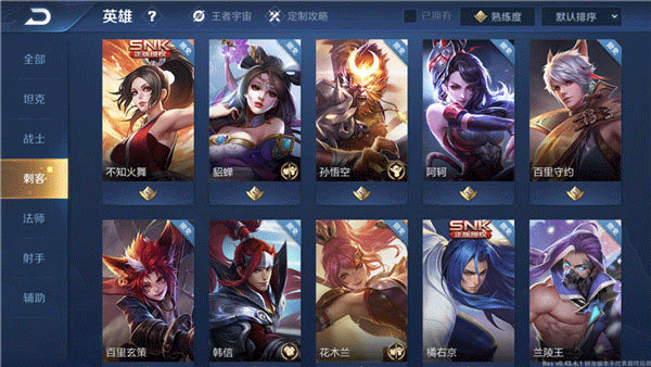 王者荣耀土耳其服