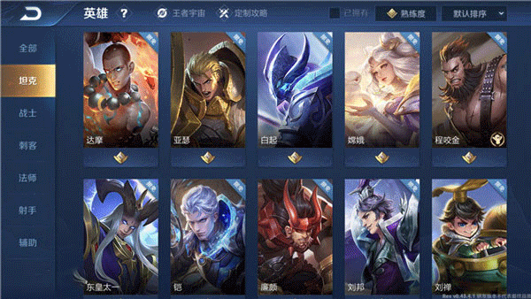 王者荣耀土耳其服