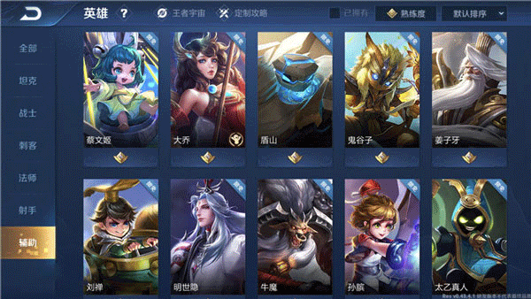 王者荣耀土耳其服