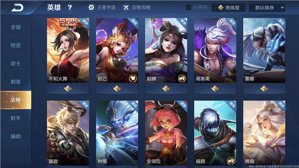 王者荣耀土耳其服