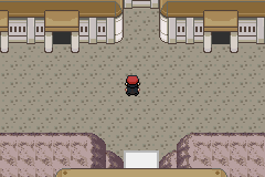 口袋妖怪决心汉化版