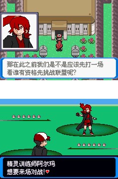 口袋妖怪决心汉化版