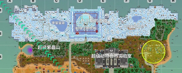 小动物之星国际服