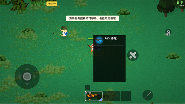 小动物之星国际服