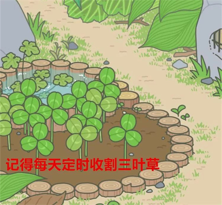 旅行青蛙最新版